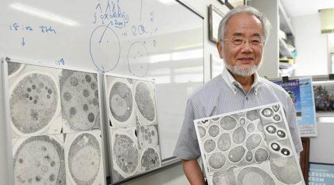 In this July, 2016 photo, Japanese scientist Yoshinori Ohsumi smiles at the Tokyo Institute of Technology campus in Yokohama, south of Tokyo. Ohsumi was awarded this year's Nobel Prize in medicine on Monday, Oct. 3, for discoveries related to the degrading and recycling of cellular components. The Karolinska Institute honored Ohsumi for "brilliant experiments" in the 1990s on autophagy, the machinery with which cells recycle their content. Disrupted autophagy has been linked to various diseases including Parkinson's, diabetes and cancer, the institute said. (Akiko Matsushita/Kyodo News via AP)