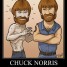 Super poteri e birra: l’epopea di Chuck Norris