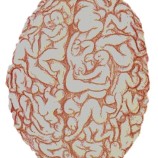 Sex brain static
