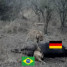 Brazil 1 – 7 Germany